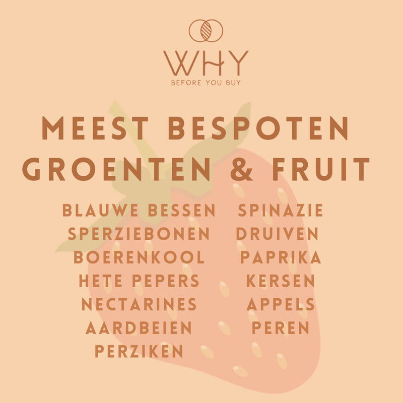 Kiezen voor biologische voeding waarom wel of niet?